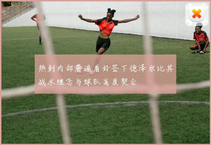 热刺内部普遍看好签下德泽尔比其战术理念与球队高度契合